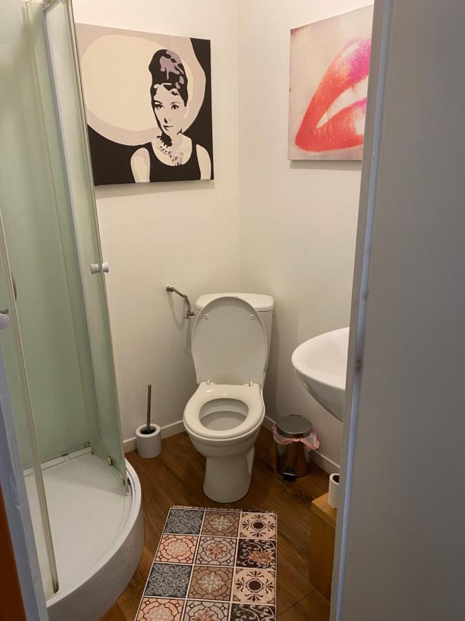 Petit Studio Fonctionnel Independant Saint-Brieuc Dış mekan fotoğraf